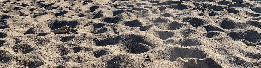 sandy beach