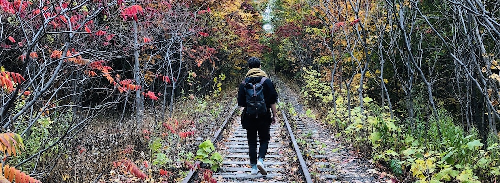 woman walking on train tracks surrounded by beautiful autumn trees